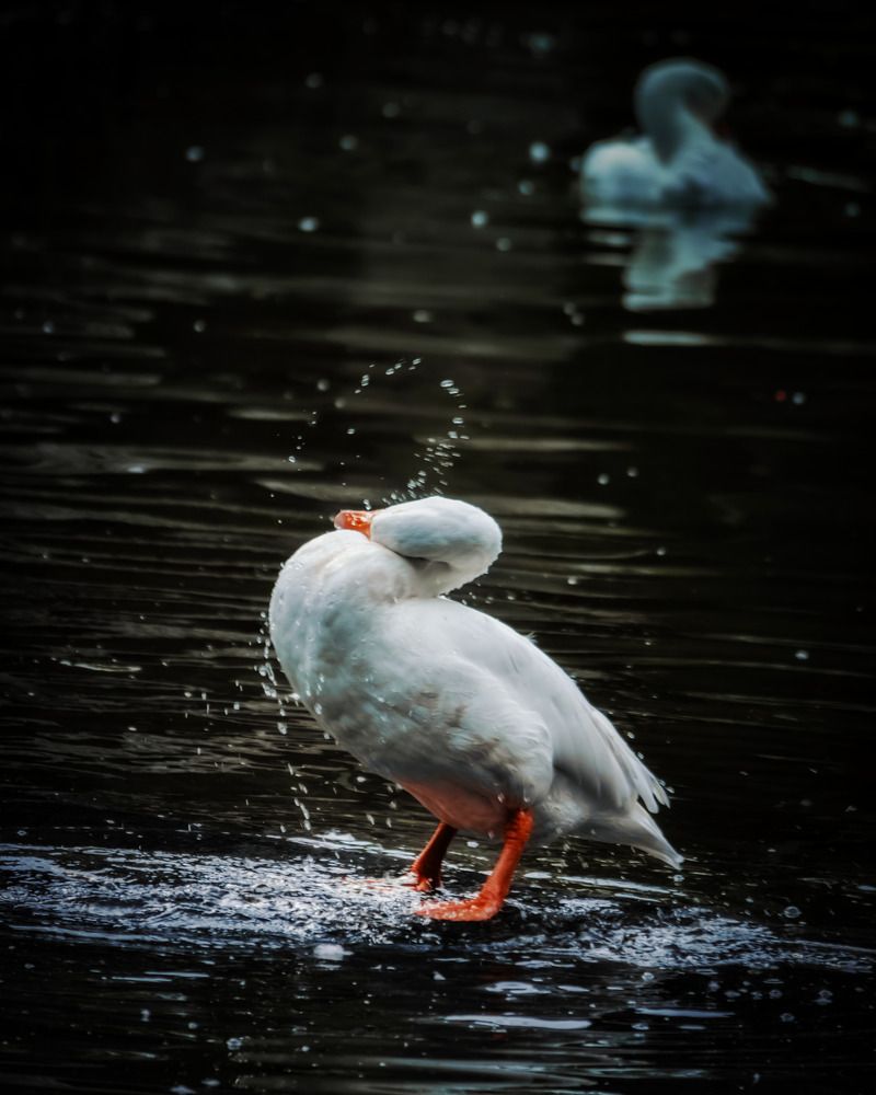 Photograph by Ayush Tripathi