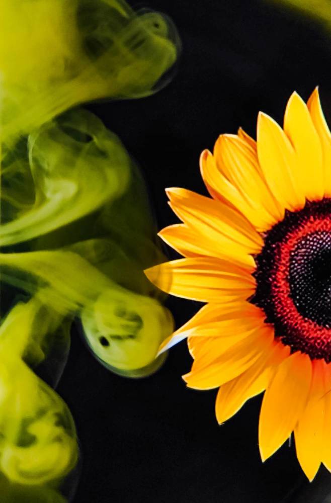 Photograph by Arindam Sahoo