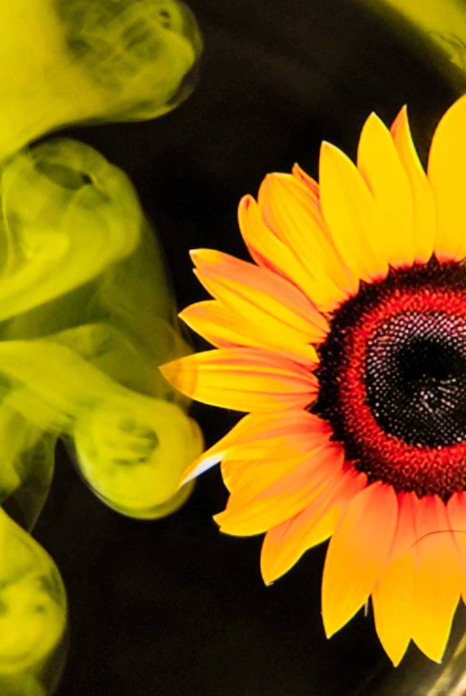 Photograph by Arindam Sahoo