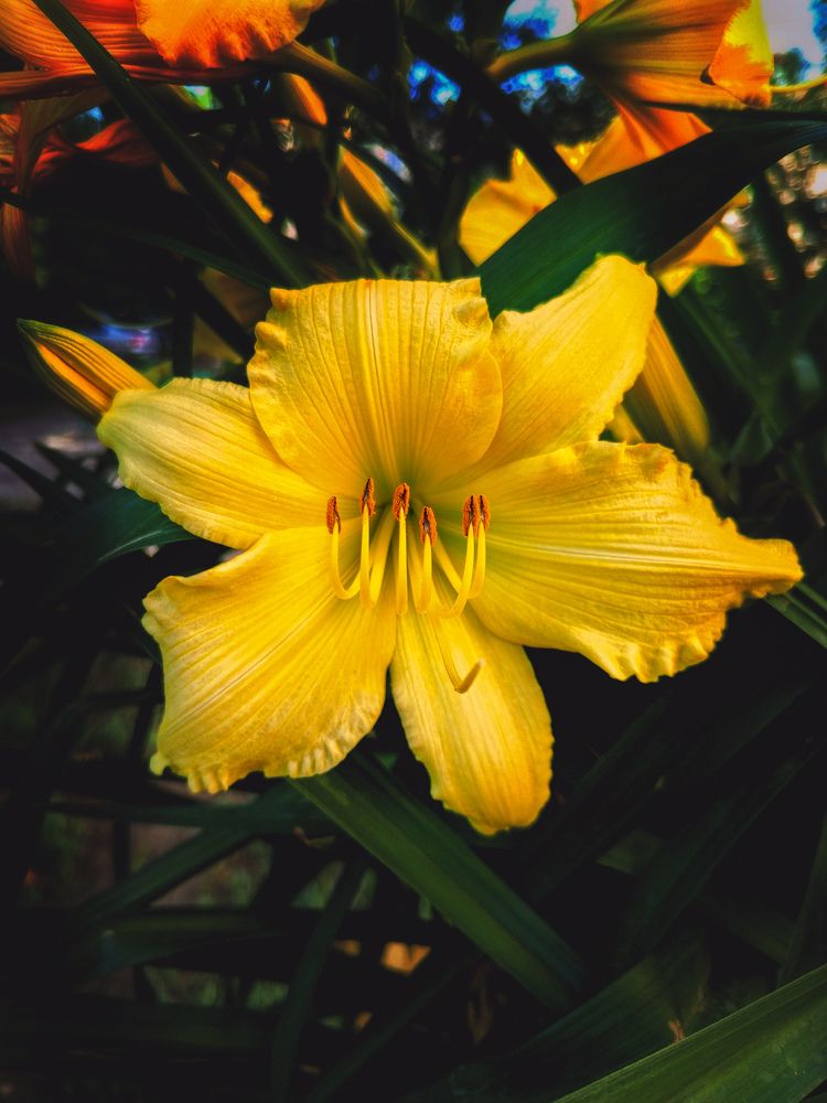 Photograph by Ольга Серова