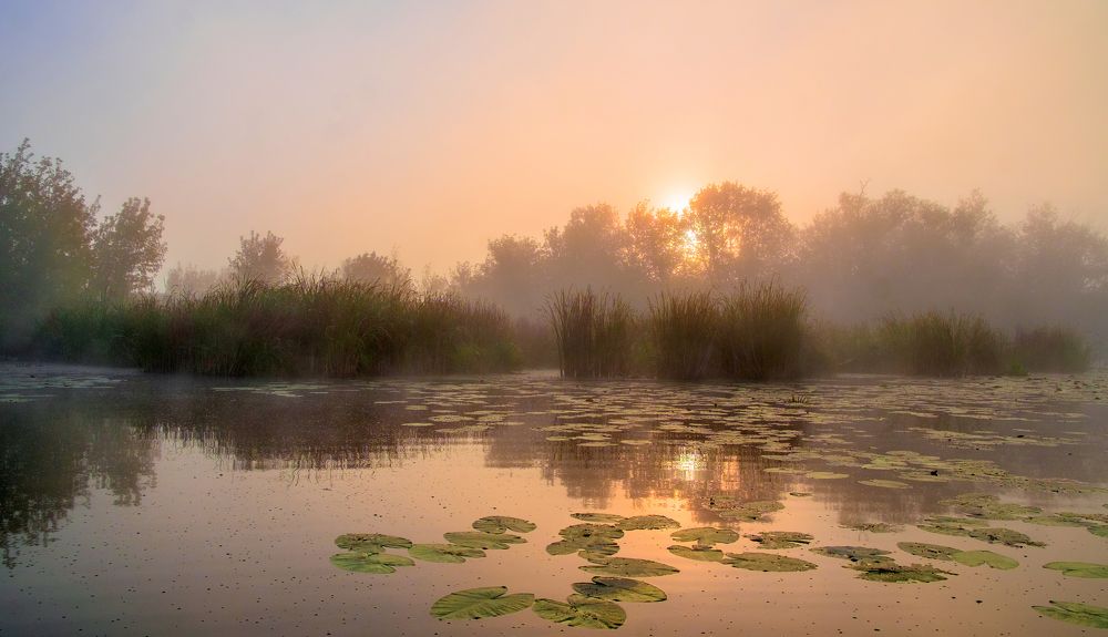 Photograph by Александр Строков