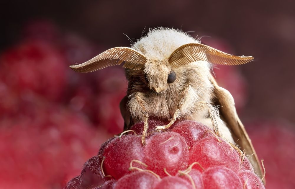 Photograph by Людмила Железнова