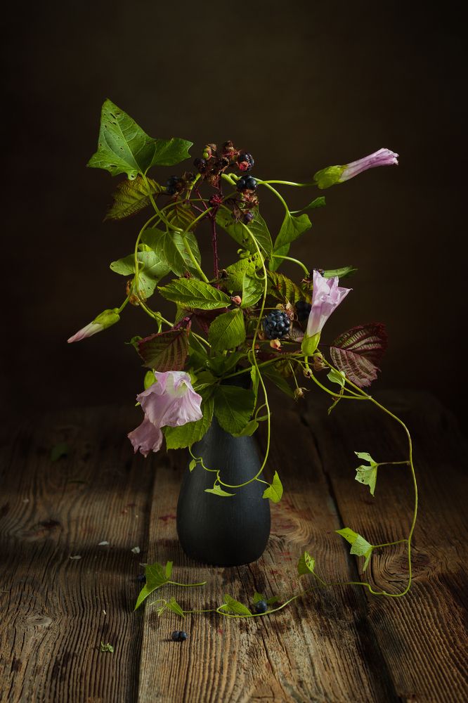 Photograph by Хвойнова Елена