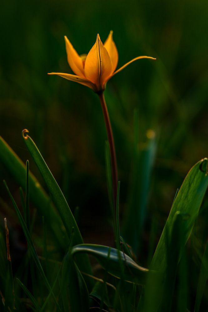 Photograph by Сергей Конюшенко