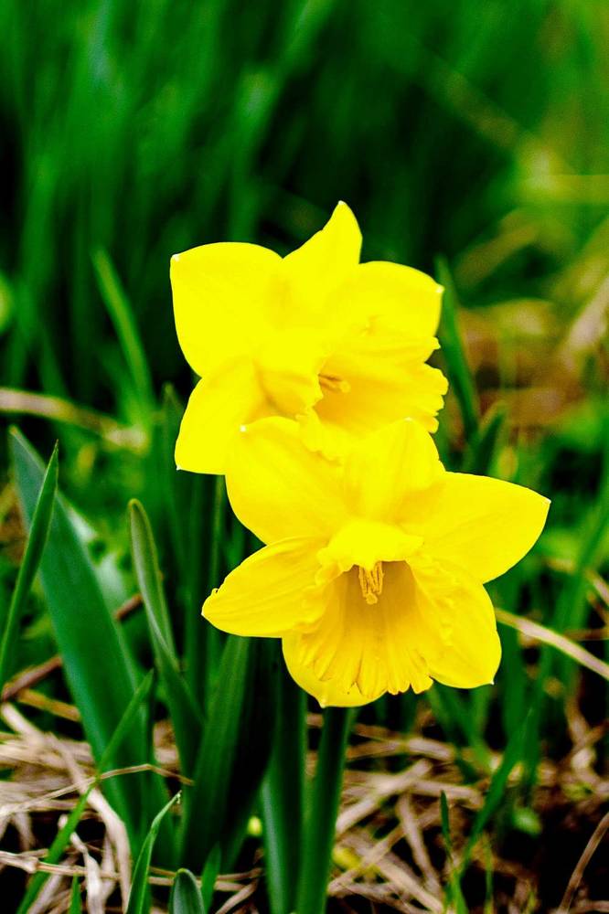 Photograph by Назмутдинова Сауия