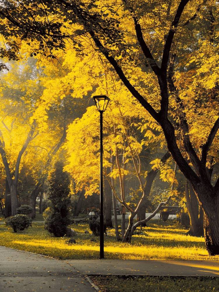 Photograph by Наталья Адалинская