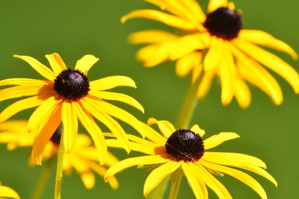 Photograph by Анастасия Тазиева