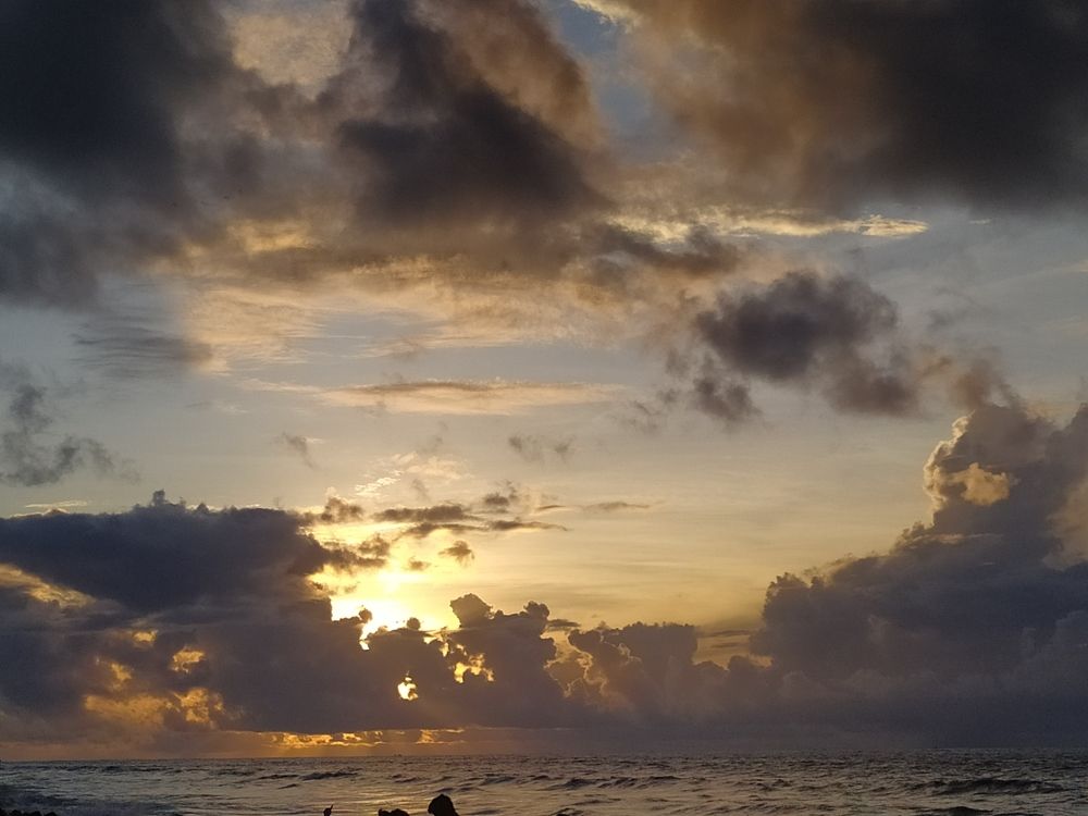 Photo #11127289