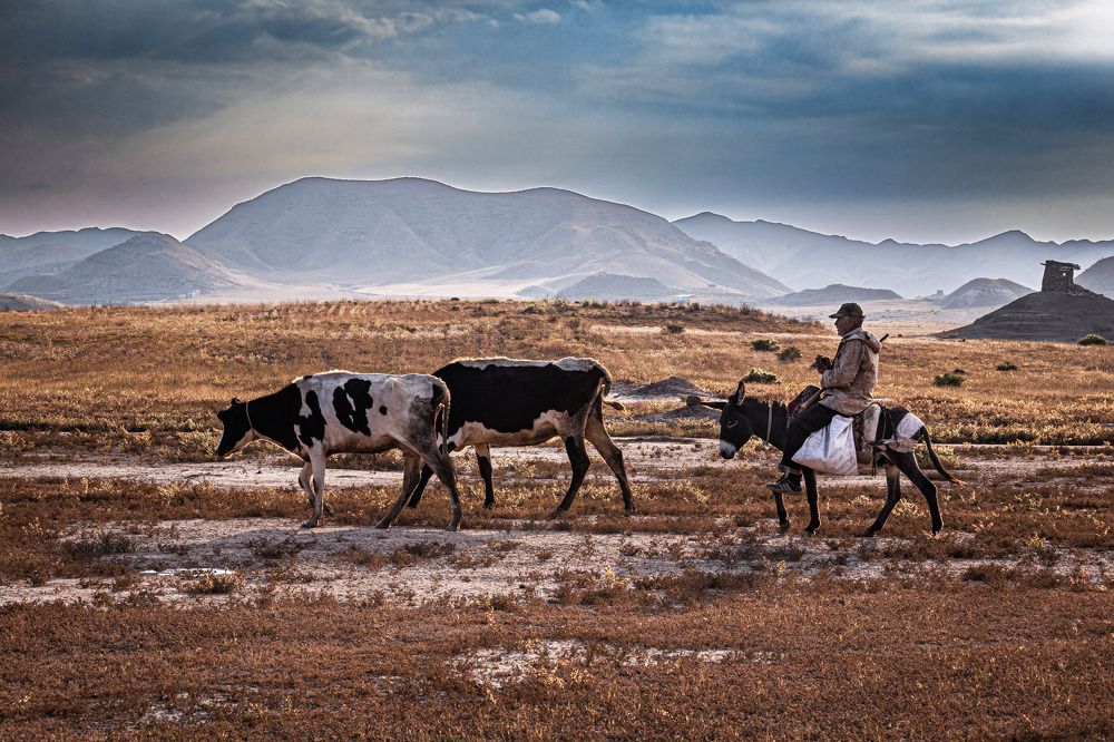 Photograph by amir ali navadeh shahla