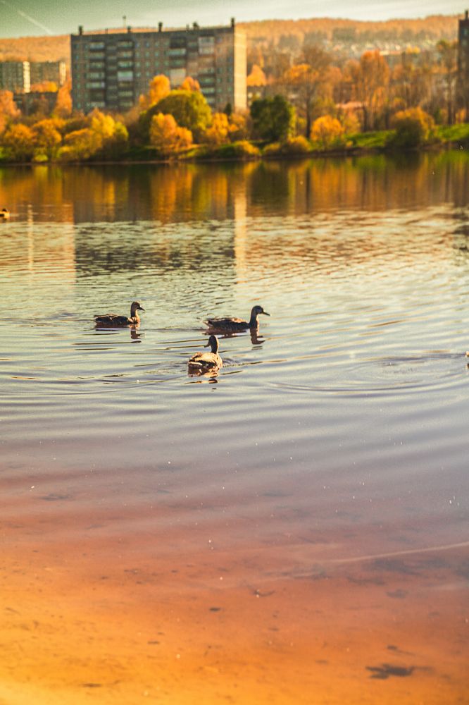 Photograph by Артём Александрович