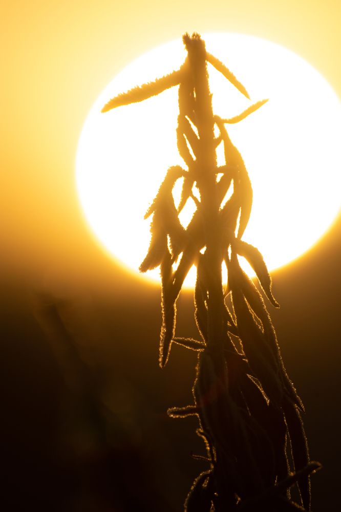 Photograph by Ахсарбек Абаев