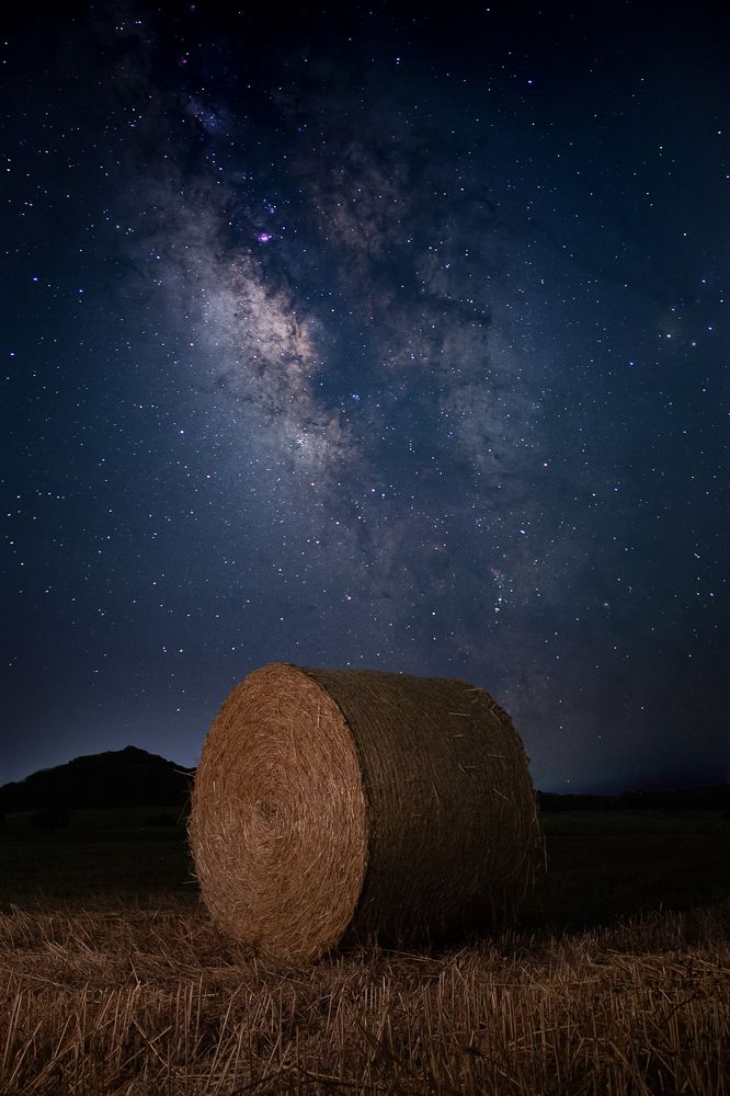 Фотография автора Adam Horvath