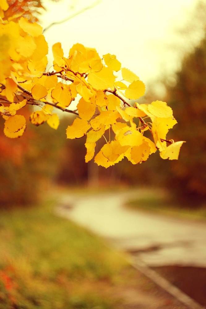 Фотография автора Татьяна Савранчук