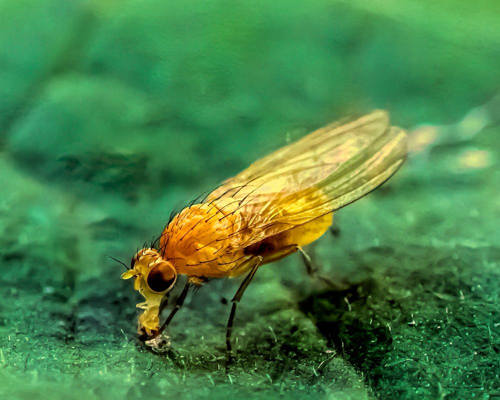 Photograph by Антипов Игорь