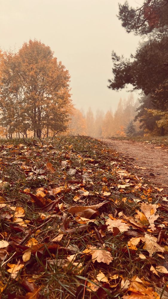 Photograph by Оксана Корепанова