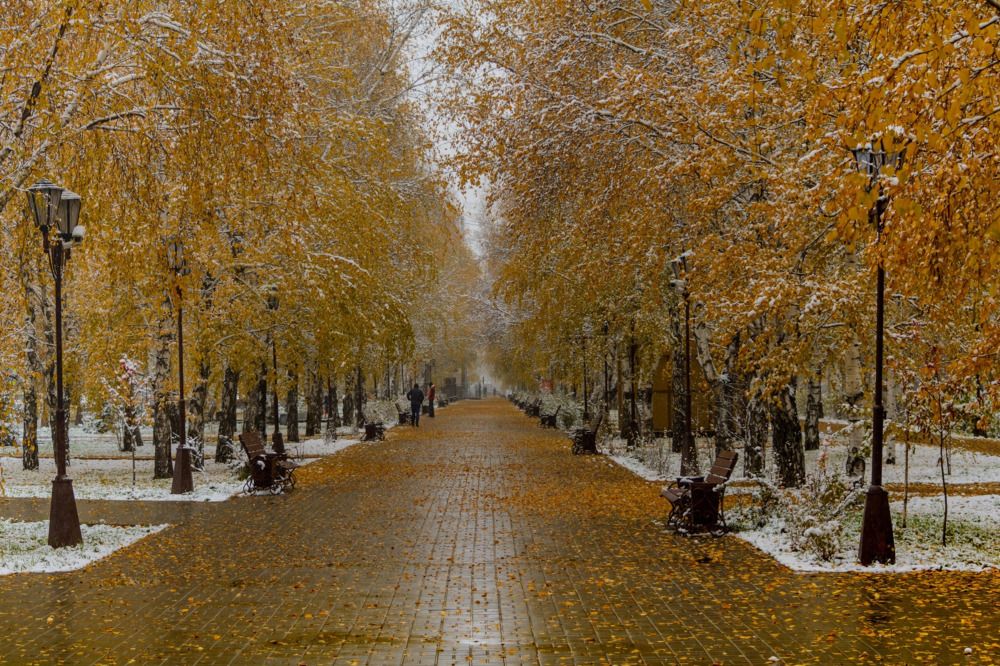 Photograph by Александр Аношкин