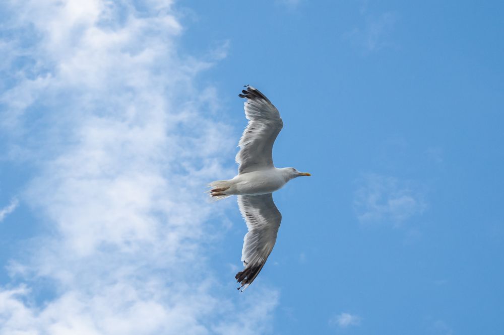 Photograph by Илья Горшенков