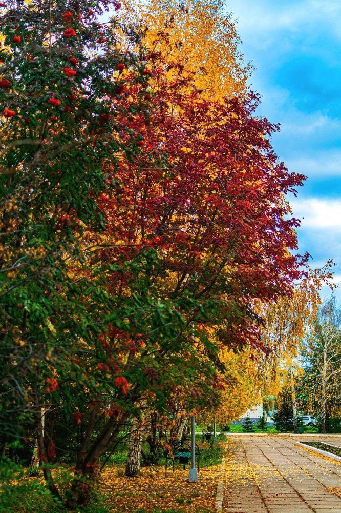 Photograph by Назмутдинова Сауия