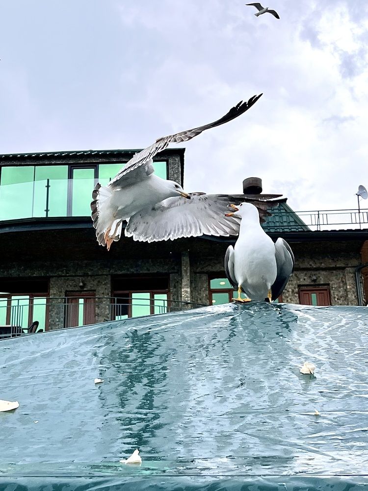 А поговорить?