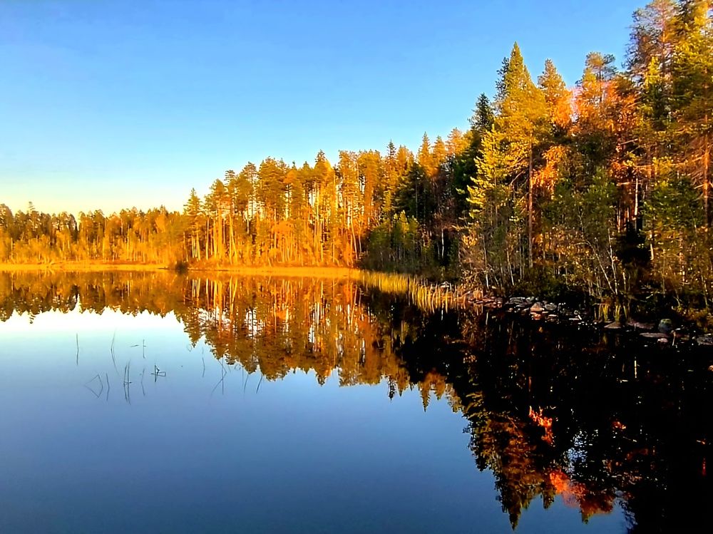 Photograph by Максим Иванов