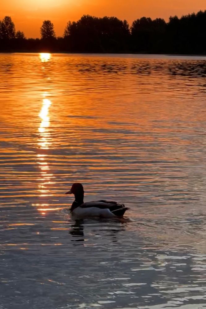 Photograph by Оксана Корепанова