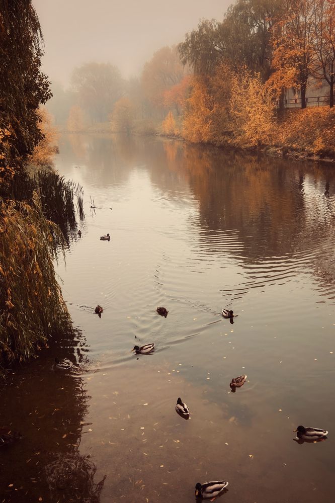 Photograph by Оксана Корепанова