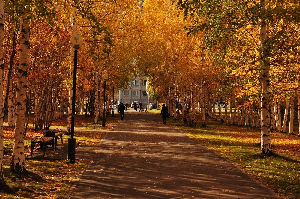 Осенний день