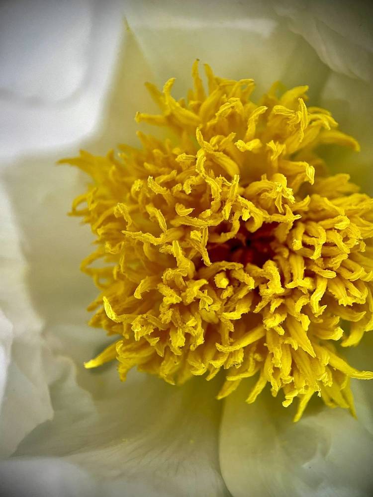 Фотография автора Рамзия Хисамутдинова