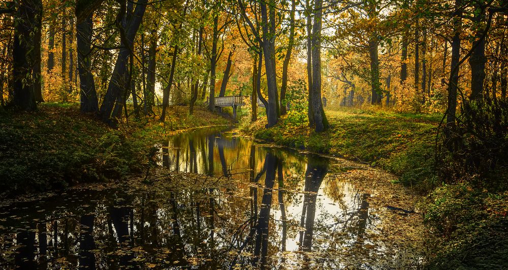 Осень в парке