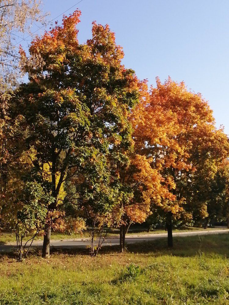 Photograph by Татьяна Ненюхина