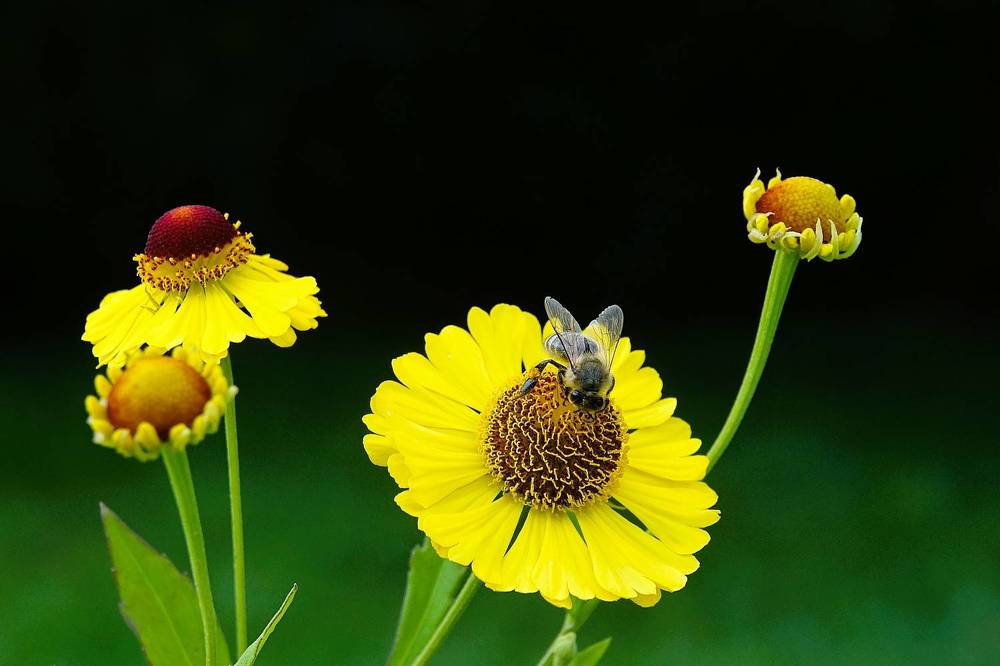 Photograph by jelena konickaja