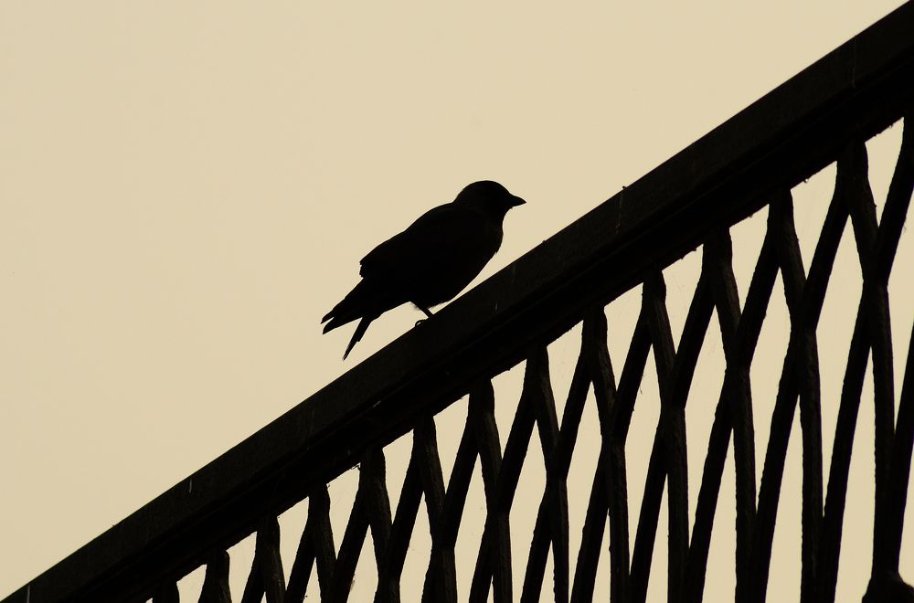 Photograph by Andrei Sosnouski