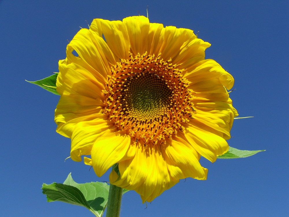 Photograph by Cengiz Yalcin