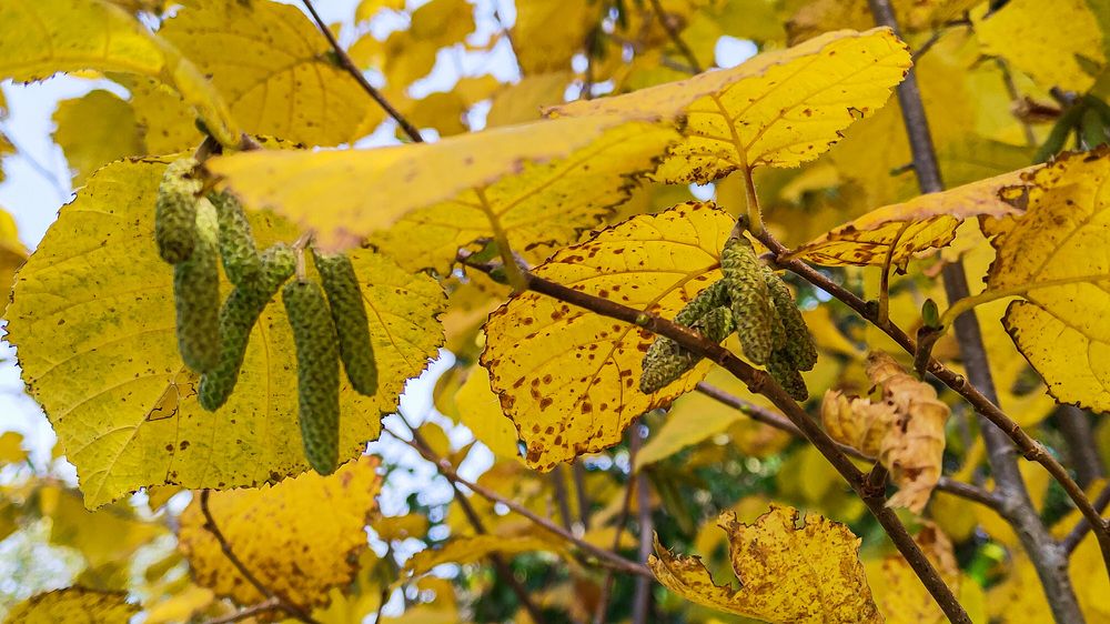 Photograph by Илья Чирков