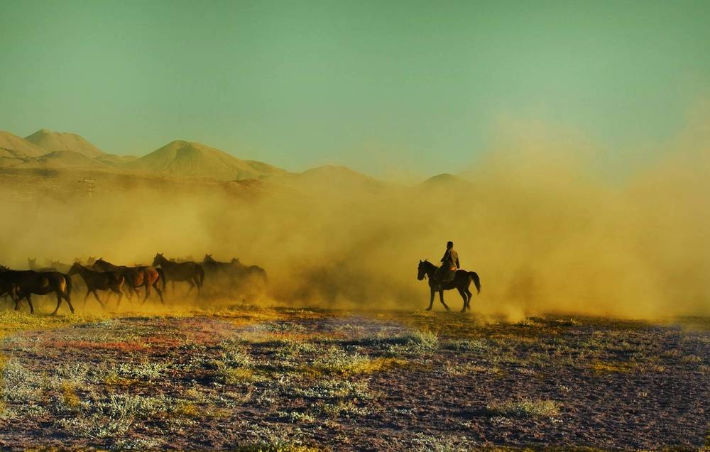Photograph by Süleyman Ülker