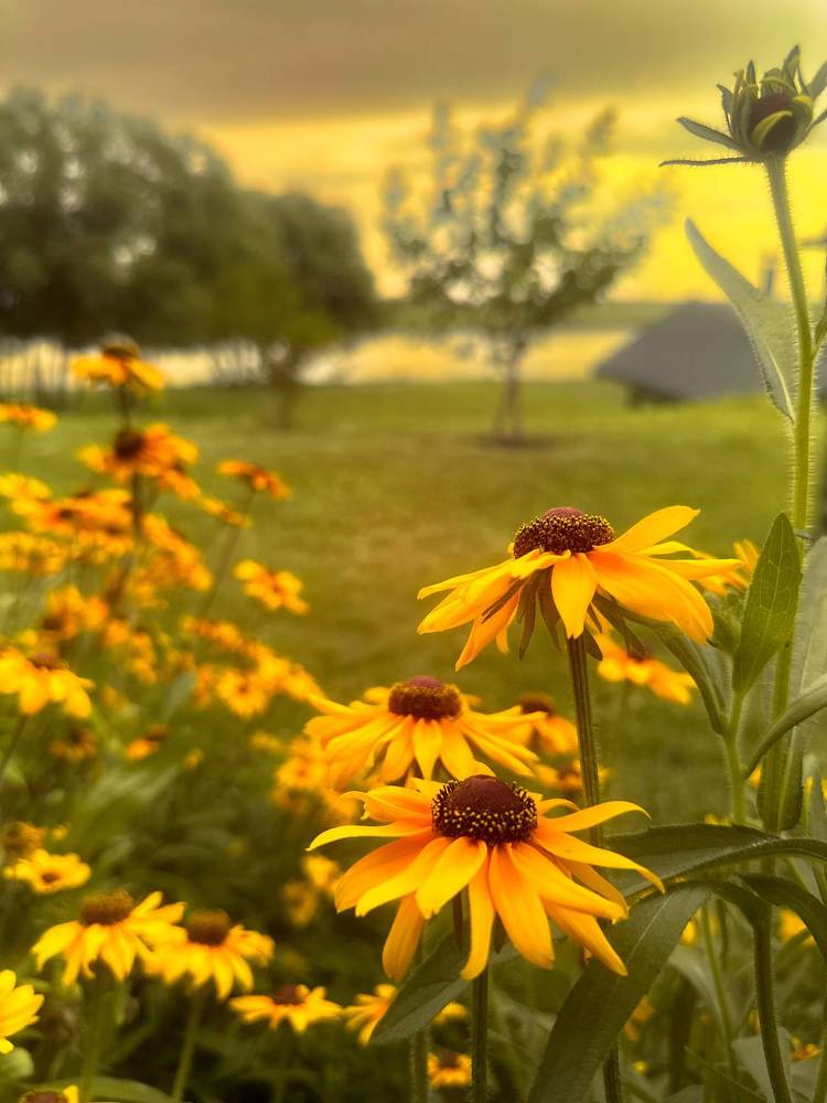 Photograph by Денис Нарышев