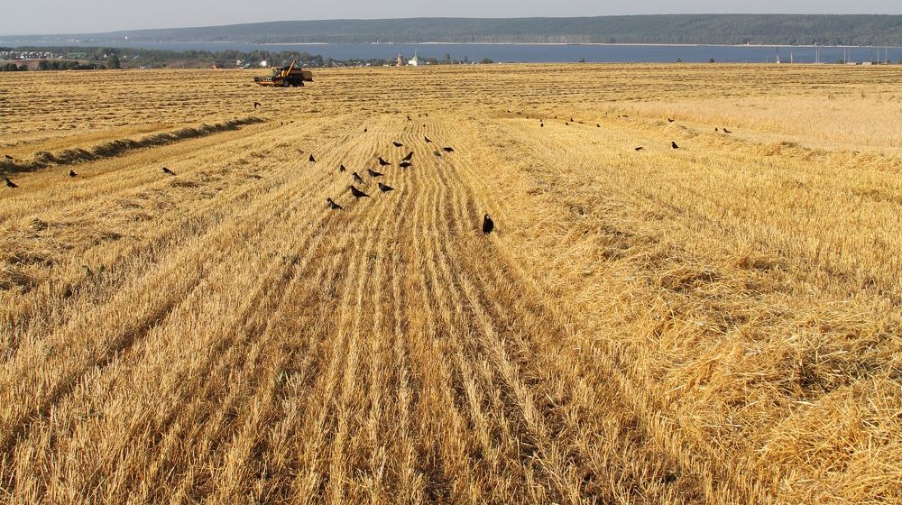 Photograph by Илья Чирков