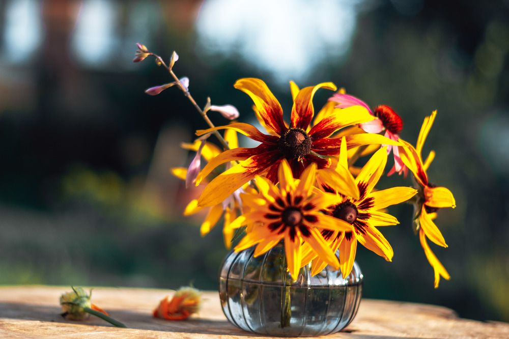 Photograph by Алла Шаталова