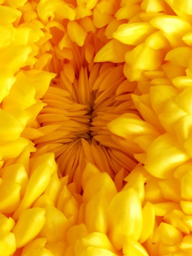 Photograph by Ольга Юрченко