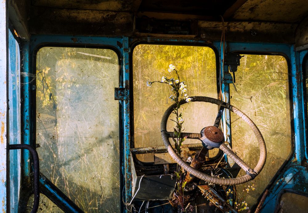 Фотография автора Ольга Лихтарь