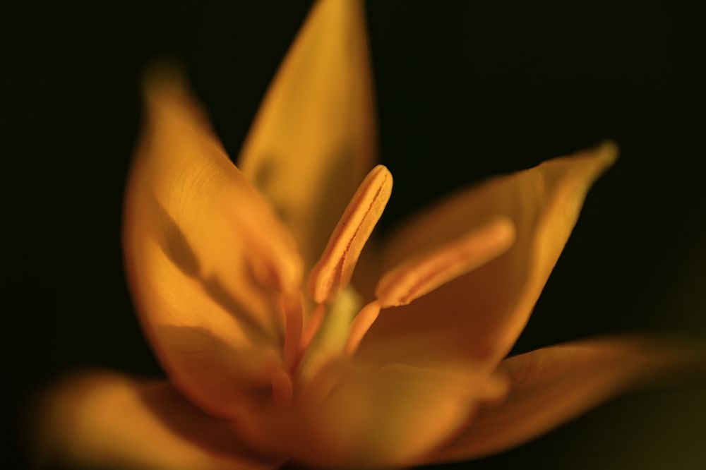 Photograph by Сергей Конюшенко