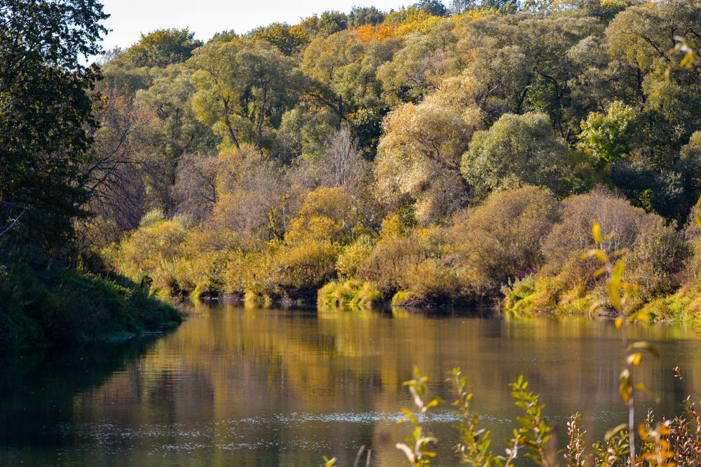 Photograph by Анастасия Гурова