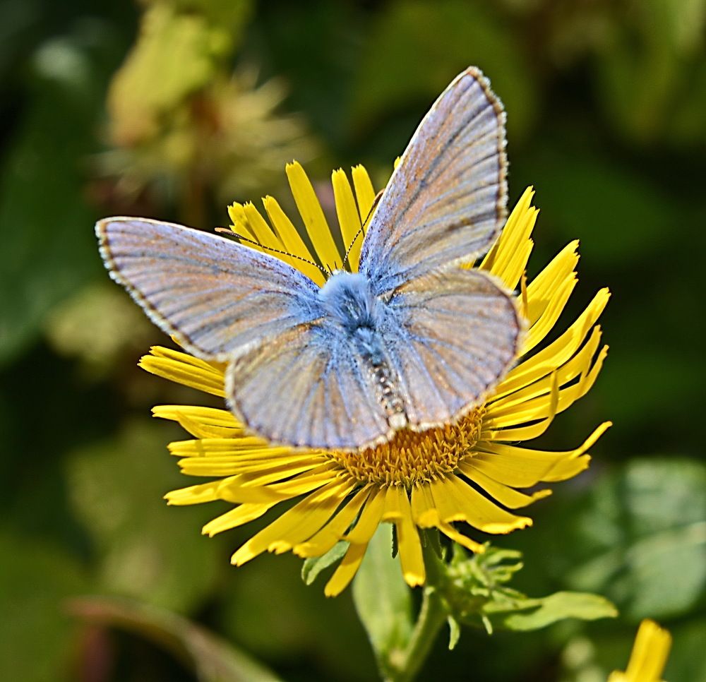 Photograph by Саркаров Юсиф