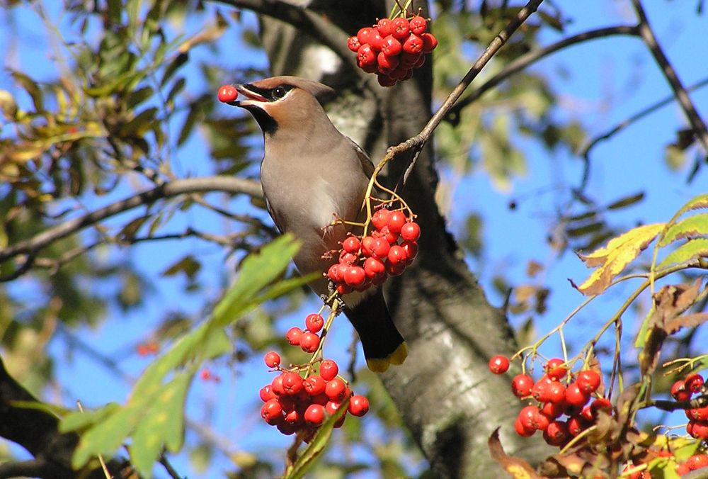 Photograph by Ирина Арканова