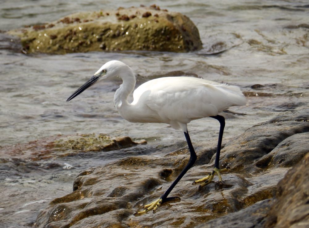 Photograph by Ирина Арканова