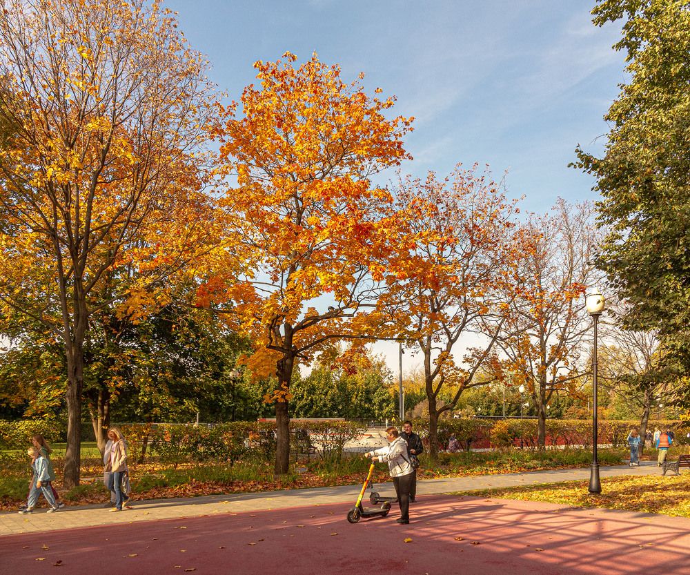 Photograph by Vladimir  Komarov