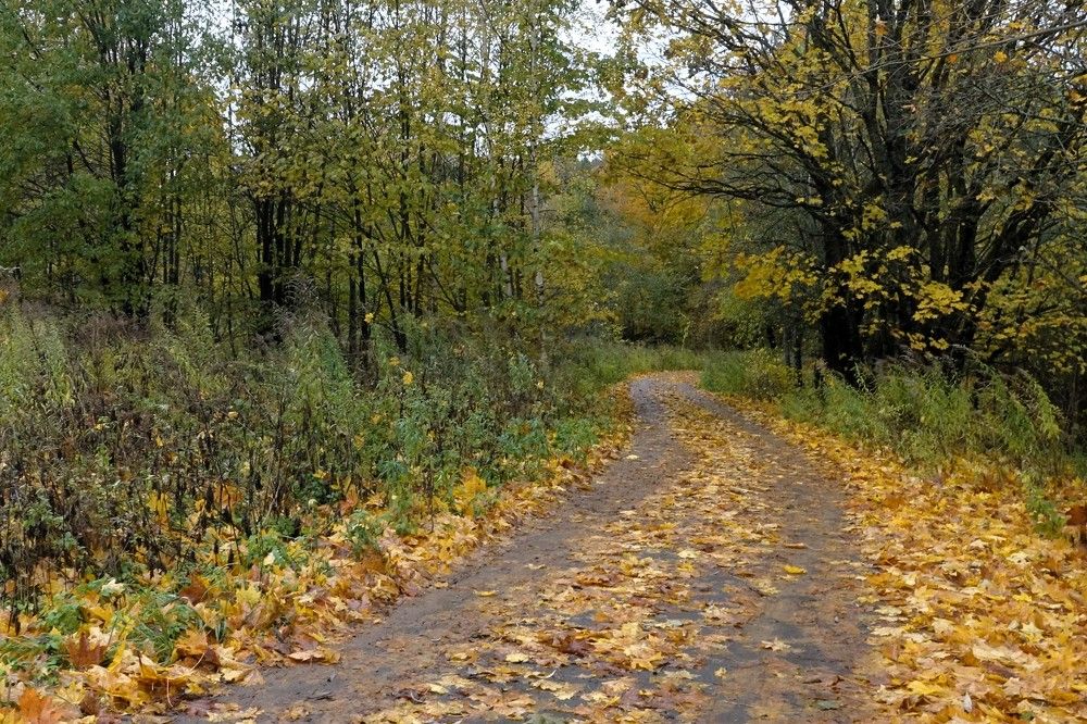 Photograph by jelena konickaja