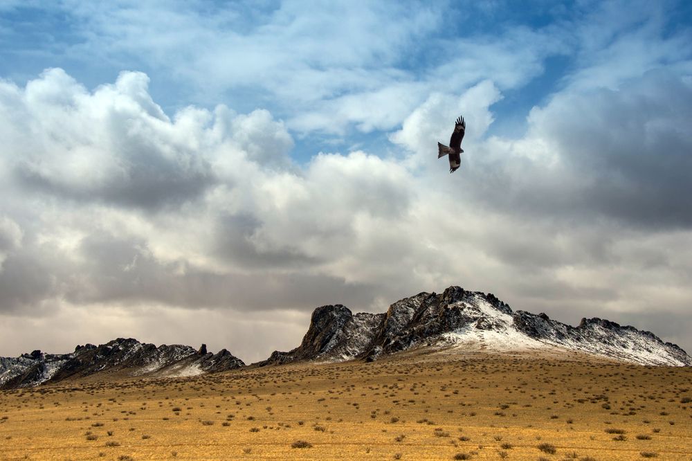 Photograph by Александр Мясников