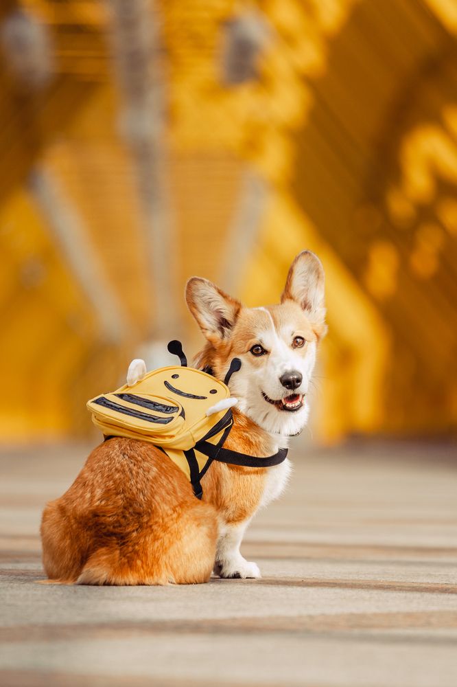 Photograph by Татьяна Степанова