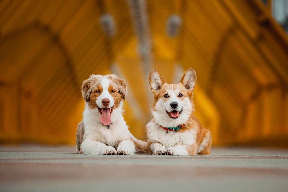 Photograph by Татьяна Степанова